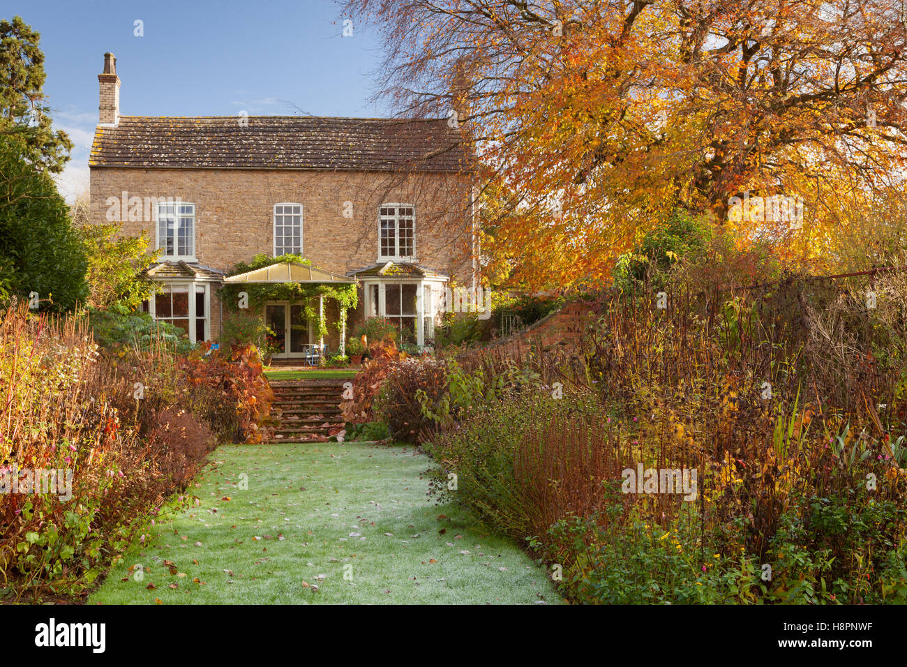 Hall Farm Garden, Harpswell, Lincolnshire, Royaume-Uni. L'automne, en novembre 2016. Banque D'Images