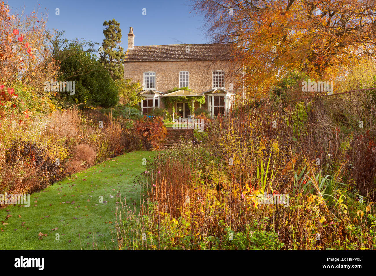 Hall Farm Garden, Harpswell, Lincolnshire, Royaume-Uni. L'automne, en novembre 2016. Banque D'Images