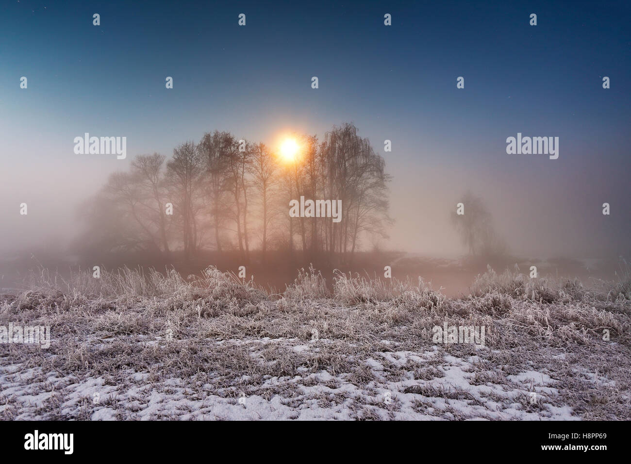 La lune dans la nuit d'hiver. Le brouillard et la brume sur la rivière d'hiver enneigé au Bélarus. Banque D'Images
