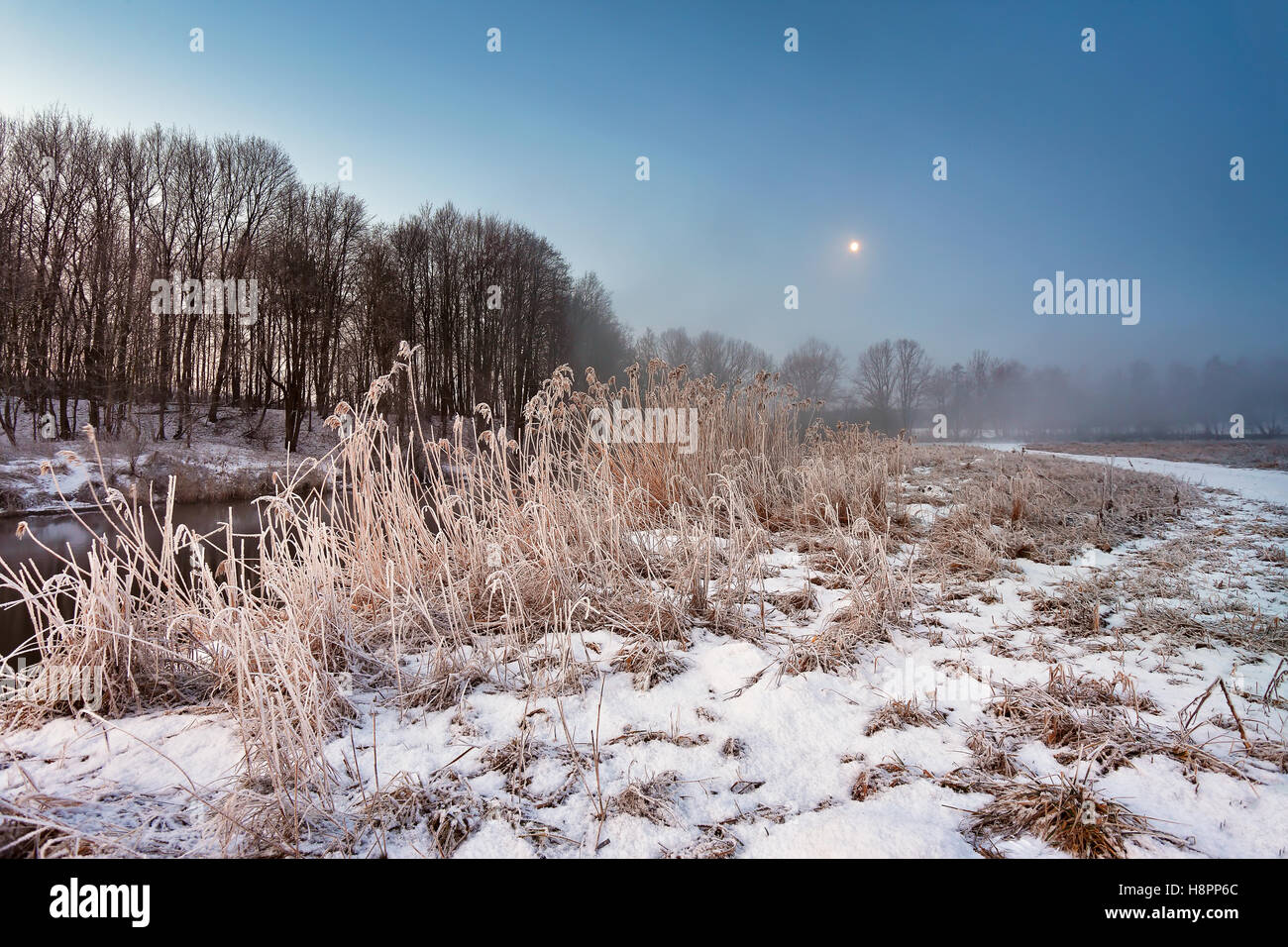 La lune dans l'aube d'hiver. Le brouillard et la brume sur la rivière d'hiver enneigé au Bélarus. Banque D'Images