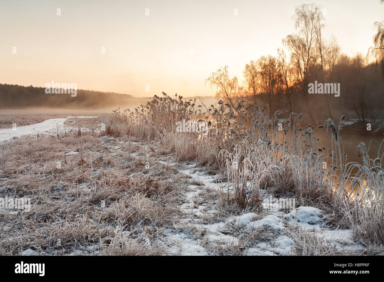 Misty d'hiver sur la rivière. Foggy Rural scène et frosty en Biélorussie Banque D'Images