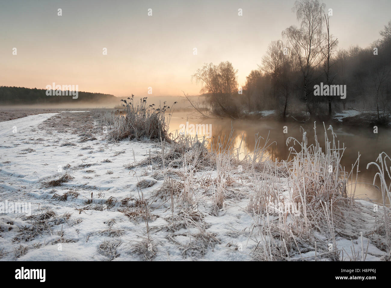 Misty d'hiver sur la rivière. Foggy Rural scène et frosty en Biélorussie Banque D'Images