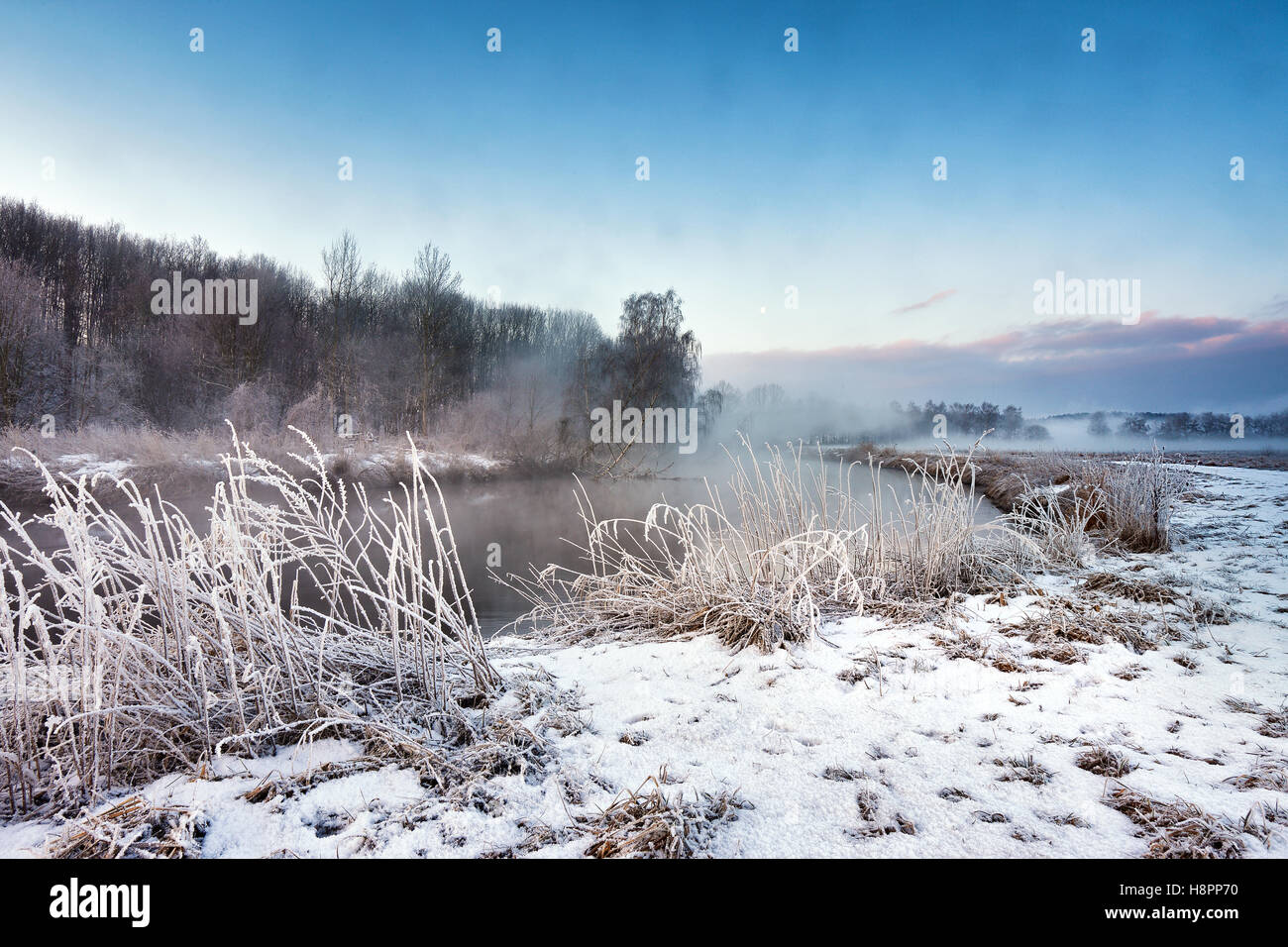 Matin brumeux d'hiver sur la rivière. Foggy Rural scène et frosty en Biélorussie Banque D'Images