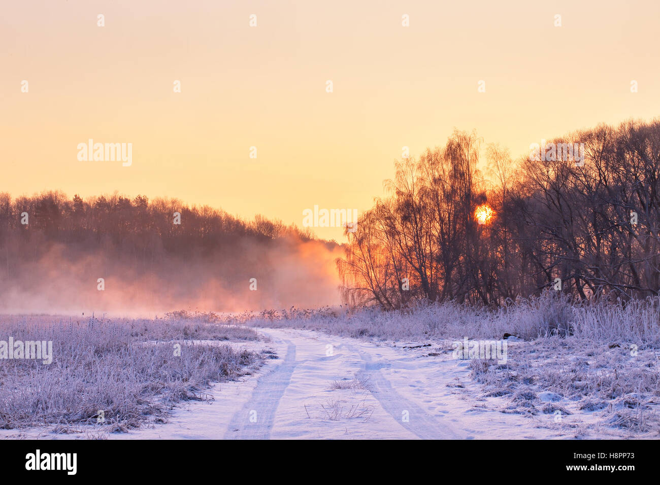 Misty hiver sunrise colorés. Foggy Rural scène et frosty en Biélorussie Banque D'Images