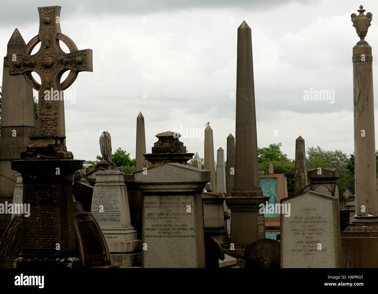 Monuments de la Nécropole de Glasgow. La nécropole est un cimetière près de la cathédrale saint Mungo. Glasgow, Ecosse. UK. Banque D'Images