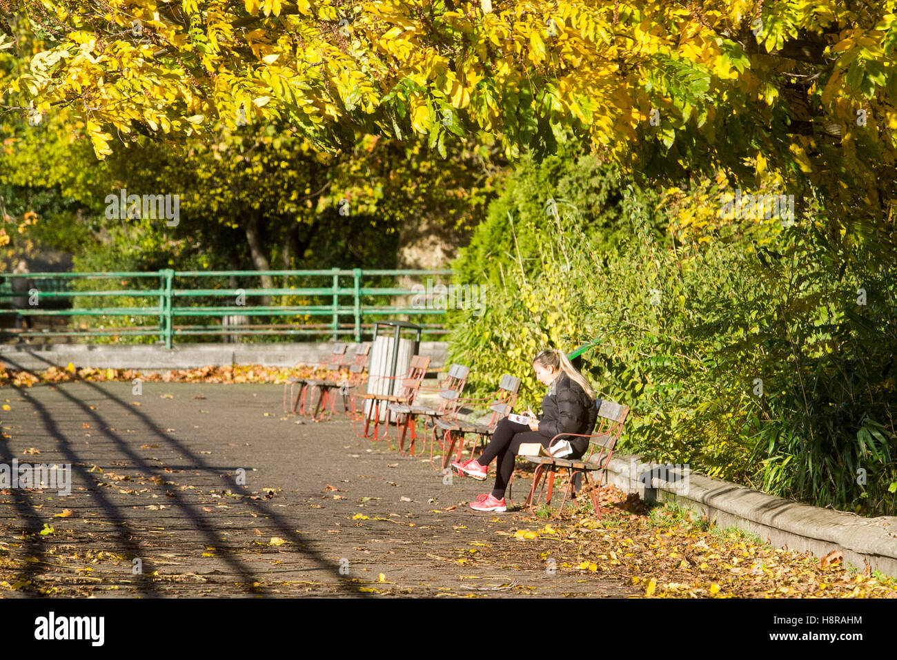 Londres, Royaume-Uni. 16 novembre 2016. Les gens profitez de l'automne de l'évêque sunshine Park Crédit : Putney amer ghazzal/Alamy Live News Banque D'Images