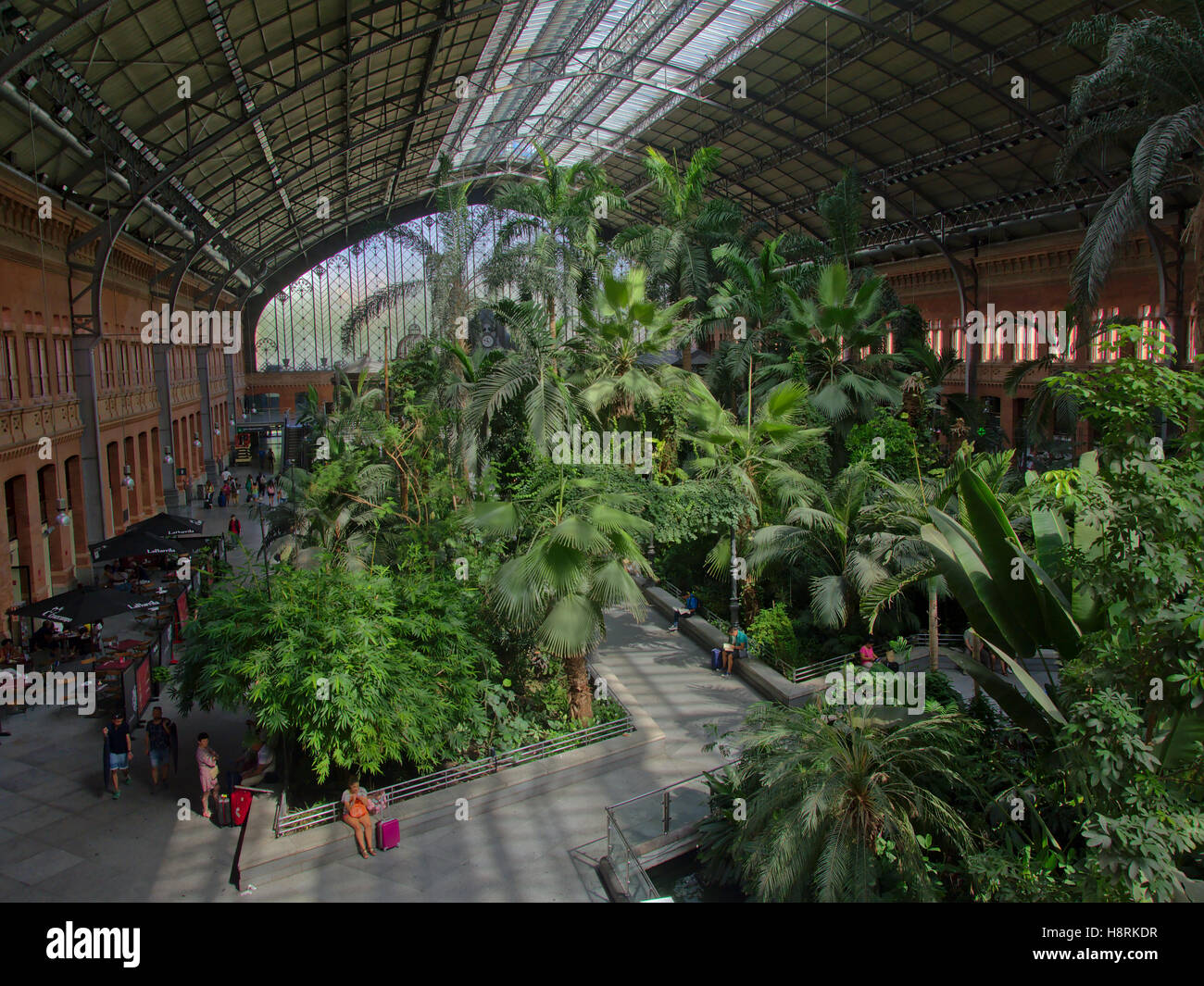Hall de l'ancienne gare ferroviaire d'Atocha à Madrid avec des plantes tropicales Banque D'Images