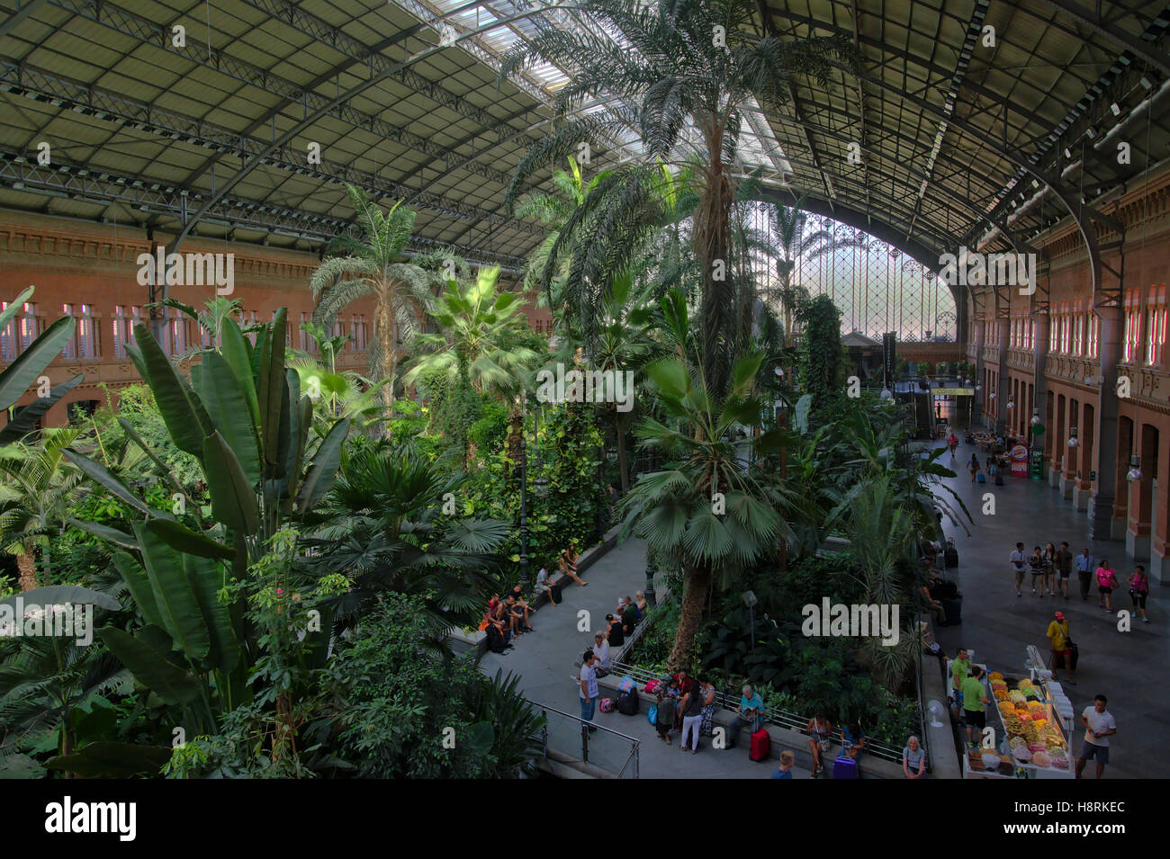 Jardin tropical intérieur dans le hall de la gare d'Atocha à Madrid Banque D'Images