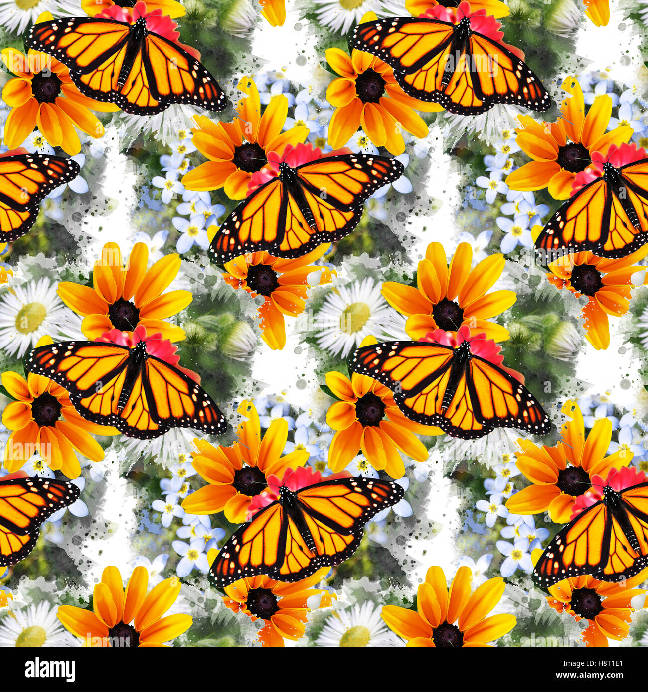 Monarch Butterfly flower pattern Banque D'Images