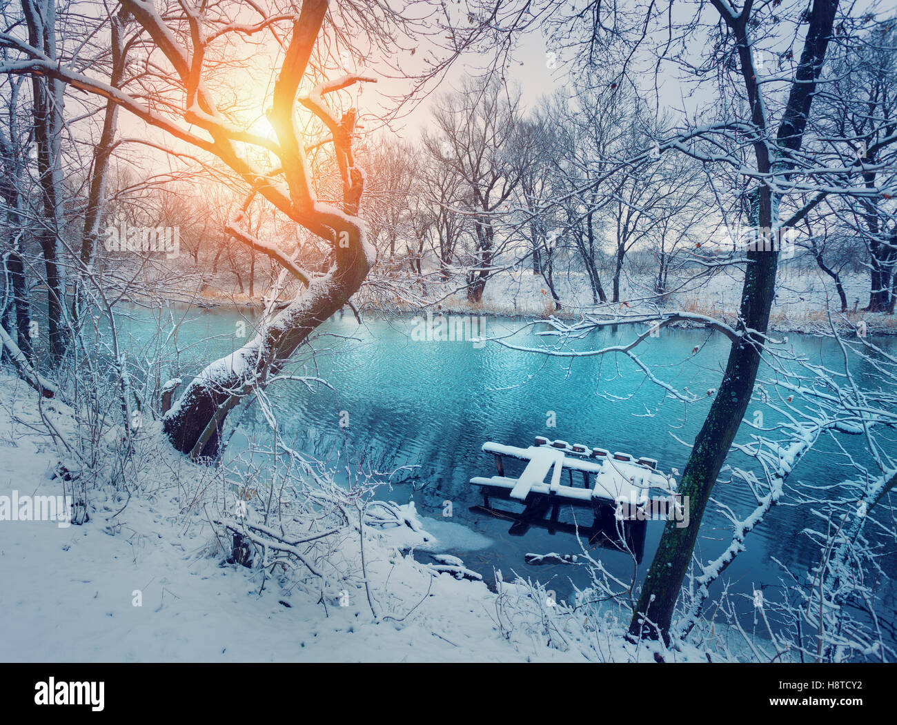 Forêt d'hiver sur la rivière au coucher du soleil. Paysage coloré avec snowy trees, rivière gelée avec reflet dans l'eau. Saison Banque D'Images