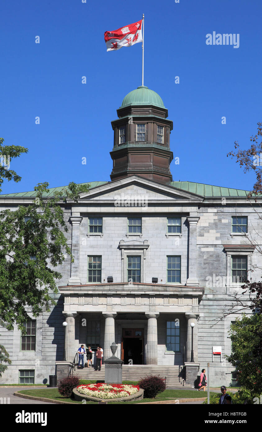 Canada, Québec, Montréal, Université McGill, Banque D'Images