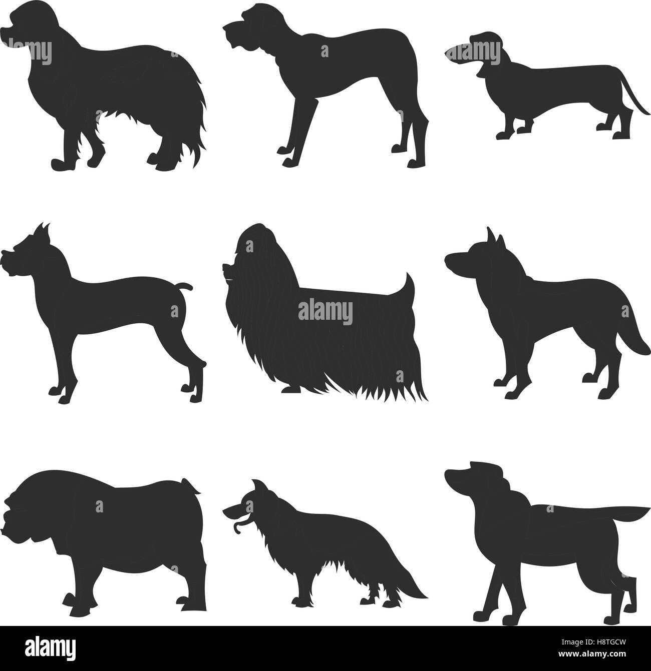 Jeu De Chiens Silhouette Noire Labrador Et Spaniel Chien