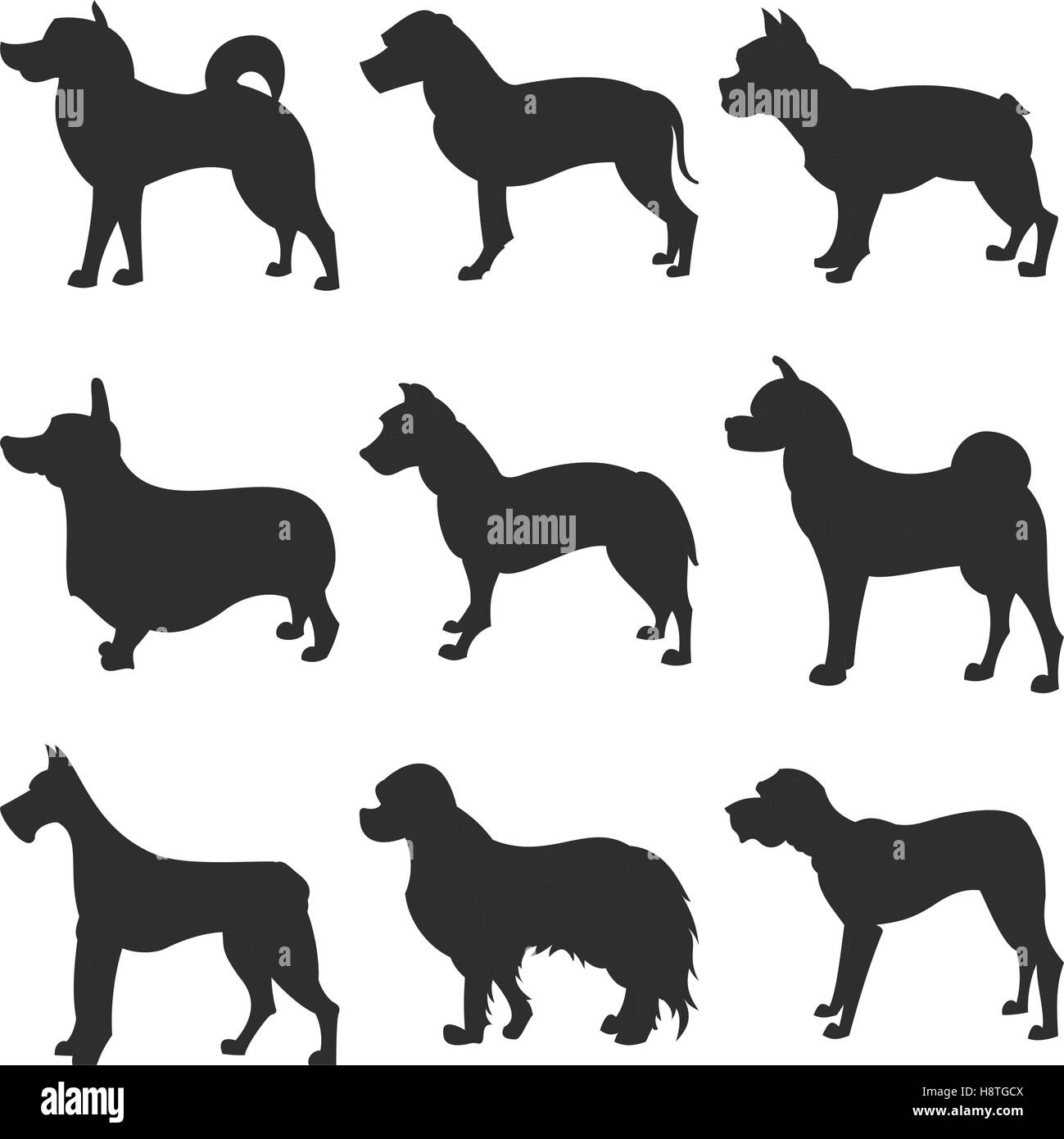 Jeu de chiens akita et silhouette bulldog, malamute et mastiff, vector illustration Illustration de Vecteur