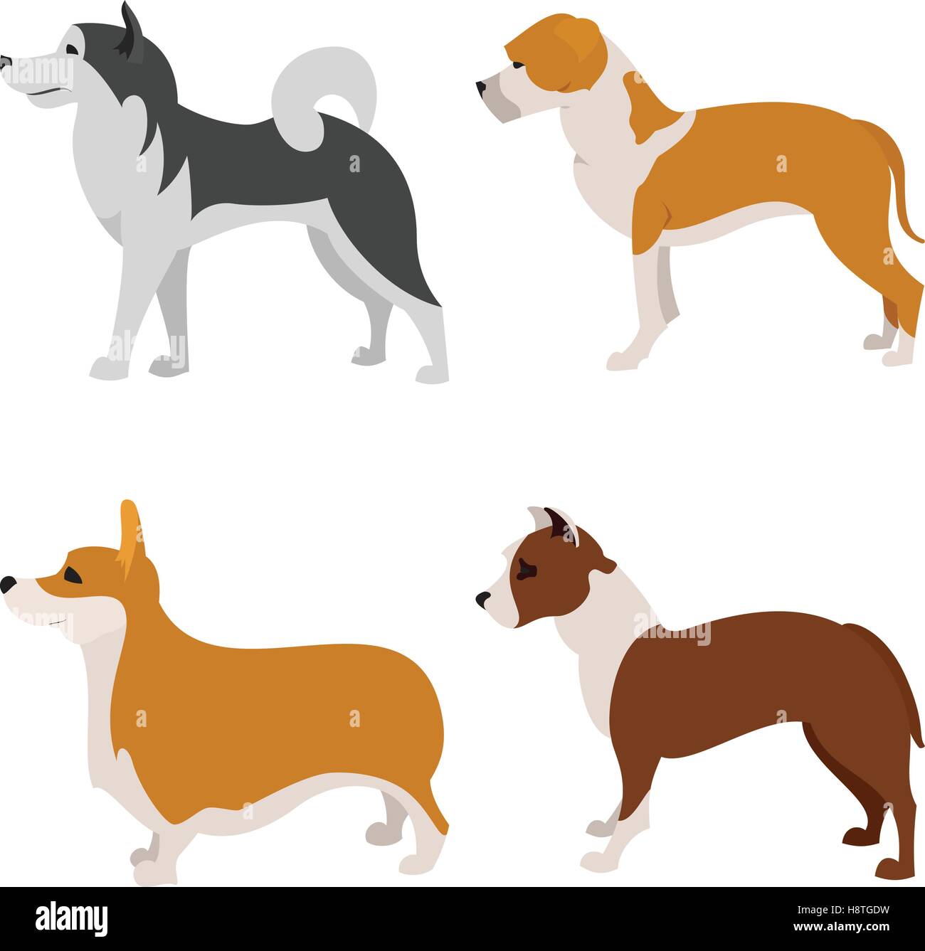 Télévision chiens ensemble de Pembroke et Staffordshire terrier, vector illustration Illustration de Vecteur