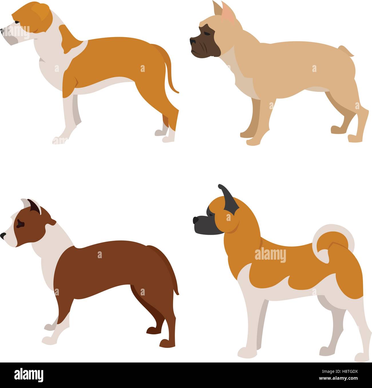 Collection de chiens de race bouledogue français, pittbull et Staffordshire terrier, vector illustration Illustration de Vecteur
