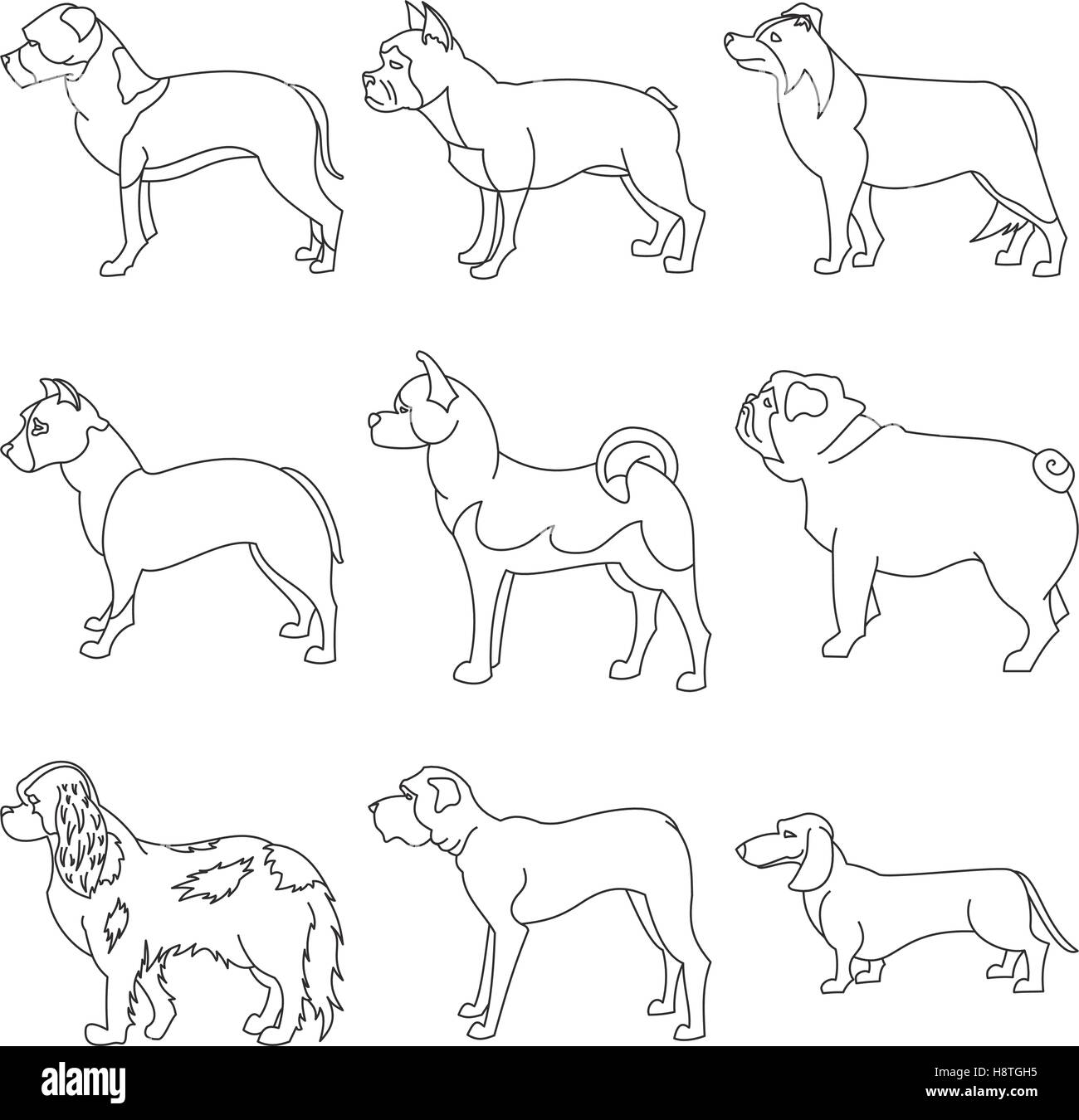 Collection de races Chien dans style linéaire. Et Bulldog collie, teckel et Spaniel, vector illustration Illustration de Vecteur Collection de races Chien dans style linéaire. Et Bulldog collie, teckel et Spaniel, vector illustration Illustration de Vecteur