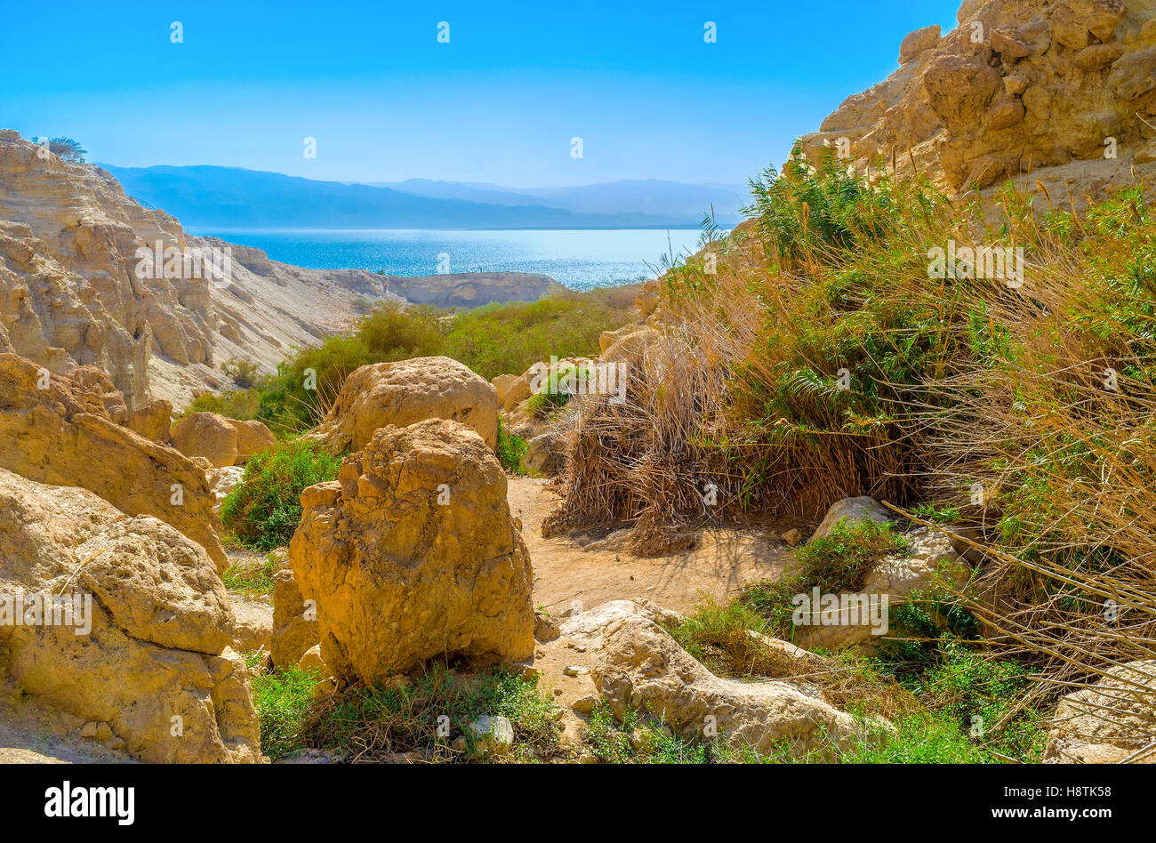 Le paysage rocheux du désert de Judée dans Ein Guédi oasis avec le bleu eaux de la Mer Morte et les montagnes de Jordanie Banque D'Images