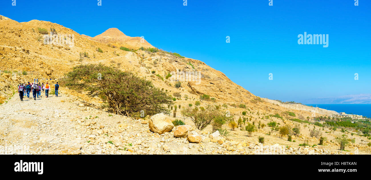 Les touristes visitent numerouse désert de Judée, en choisissant les différentes routes pour les randonnées, Ein Gedi, Israël. Banque D'Images