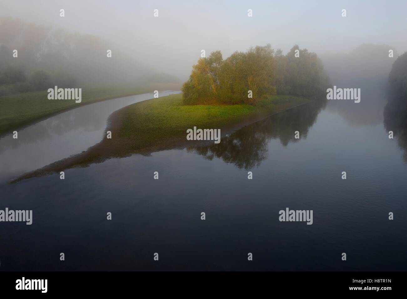 Delta de la Sauer, Lauterbourg, réserve naturelle de Delta Sauer, Alsace, France Banque D'Images