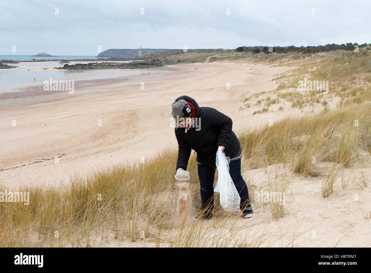 Le nettoyage de la plage de l'anse du Croc, Bretagne, France Photo Stock -  Alamy