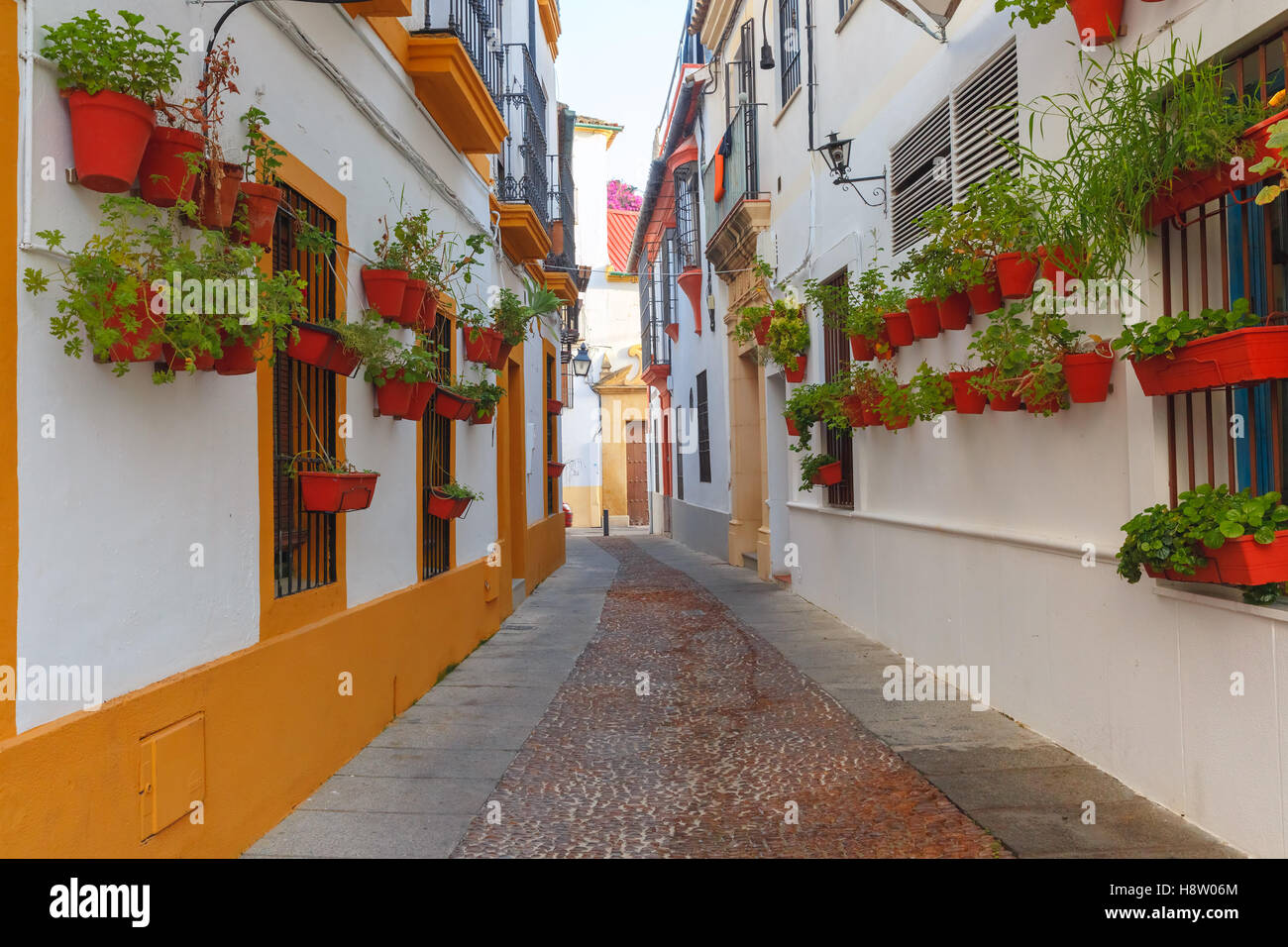 Rue des fleurs à Cordoue, Andalousie, Espagne Banque D'Images