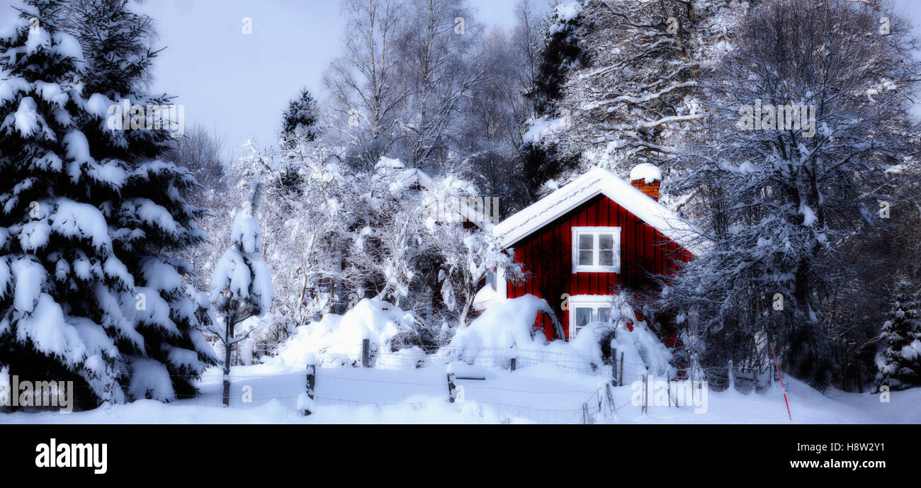Old Red cottage, la neige et le paysage d'hiver de Suède Banque D'Images