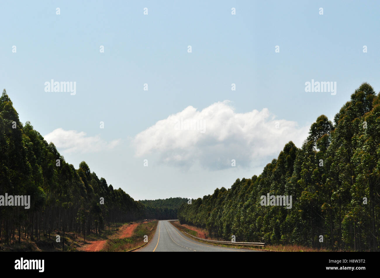 Afrique du Sud : paysage africain vu d'une route dans le Mpumalanga Banque D'Images