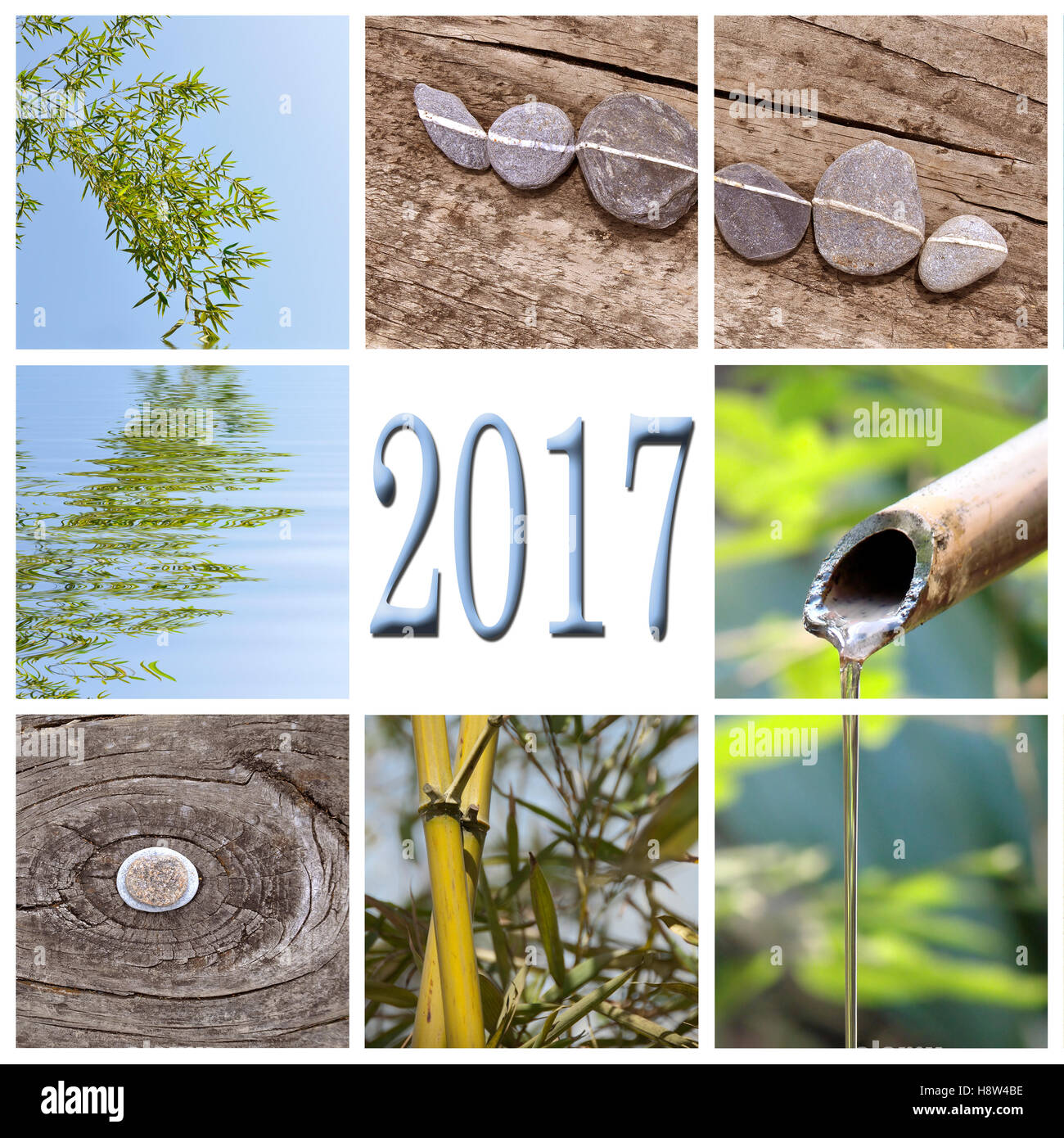 2017, bambou zen square collage Banque D'Images