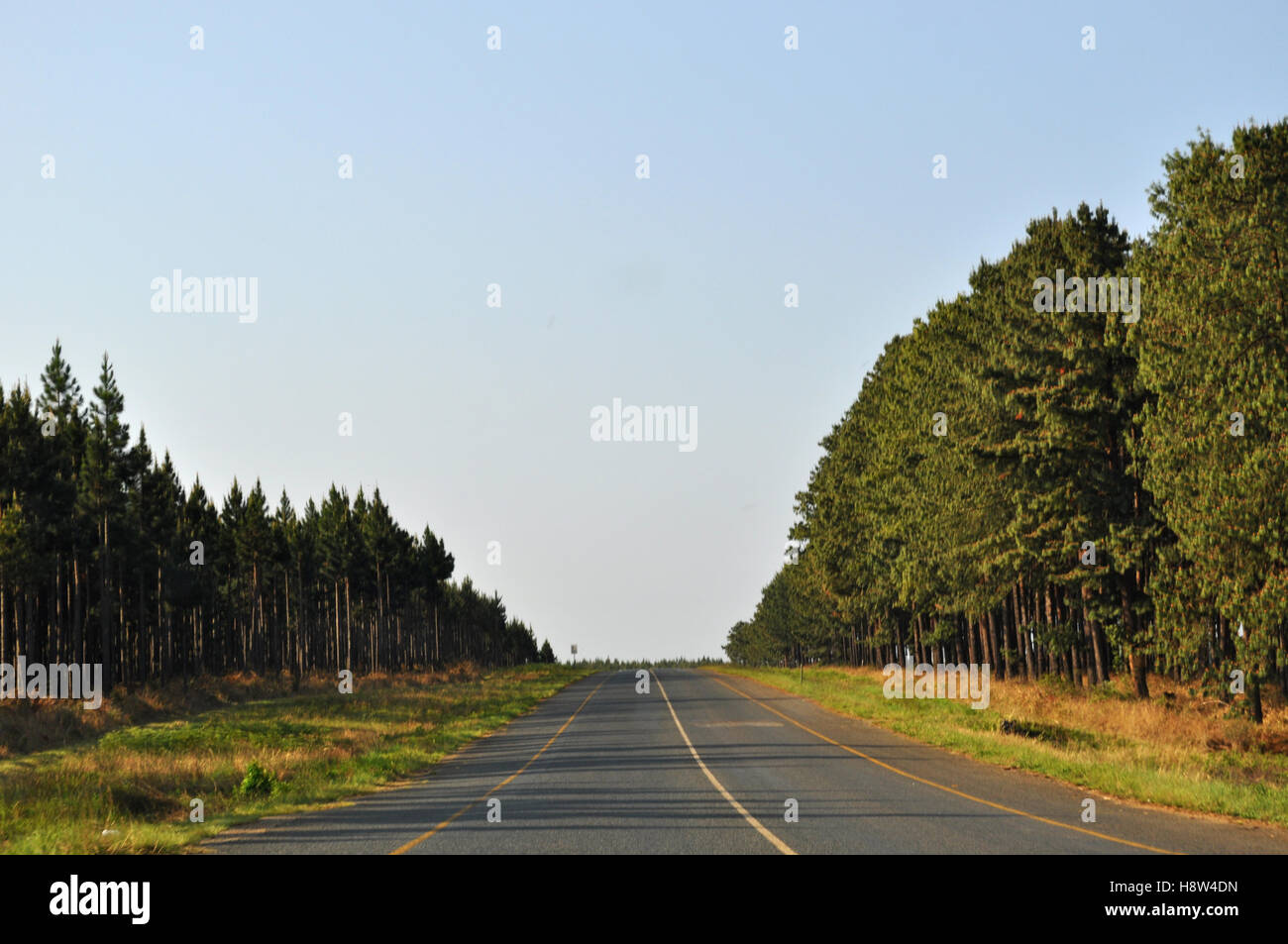 Afrique du Sud : paysage africain vu d'une route dans le Mpumalanga Banque D'Images