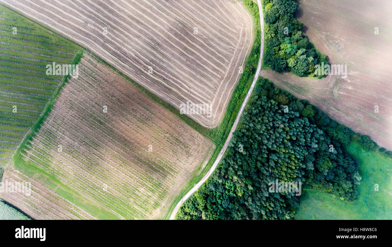 Route de campagne menant à travers champs et prairies. La nature d'été Banque D'Images