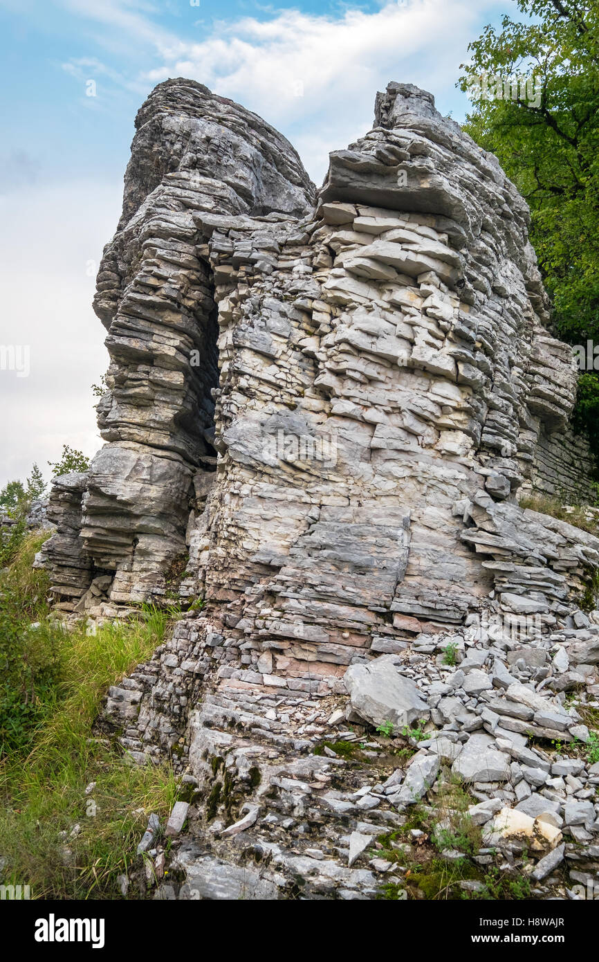 Forêt de pierre. Zagoria, Grèce Banque D'Images