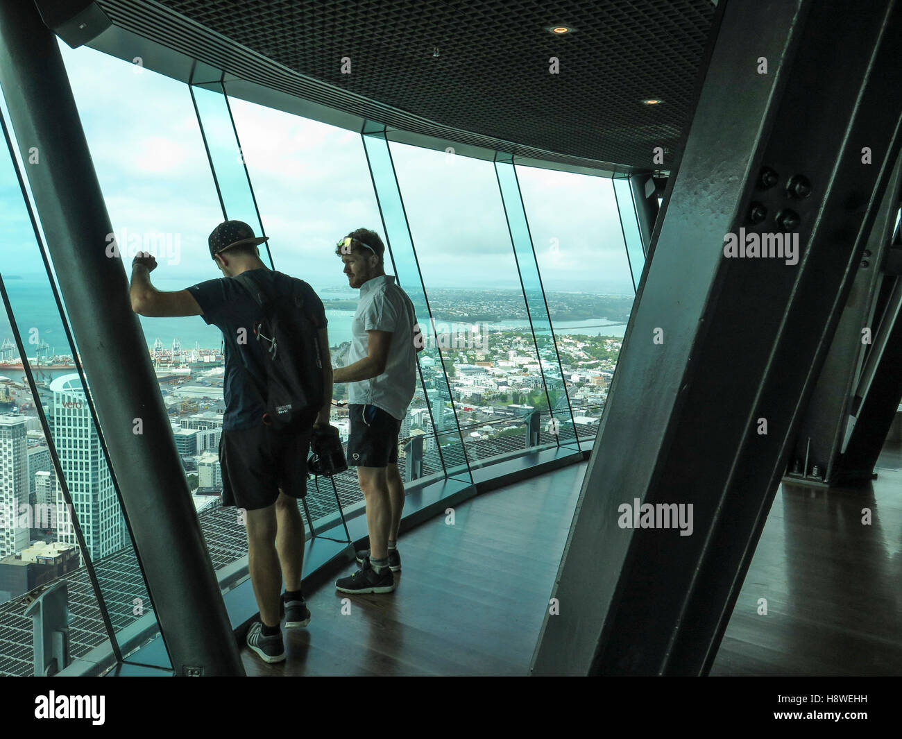 Vue depuis la Sky Tower à Auckland, île du Nord, Nouvelle-Zélande Banque D'Images
