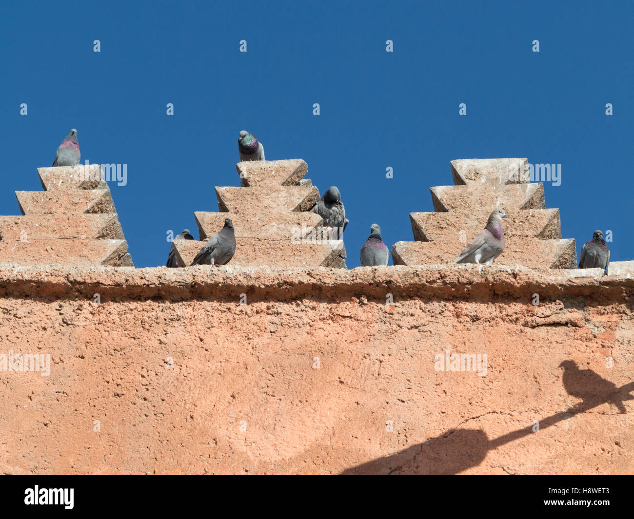 Les murs de la ville rose , Marrakech , Maroc , Afrique du Nord Banque D'Images