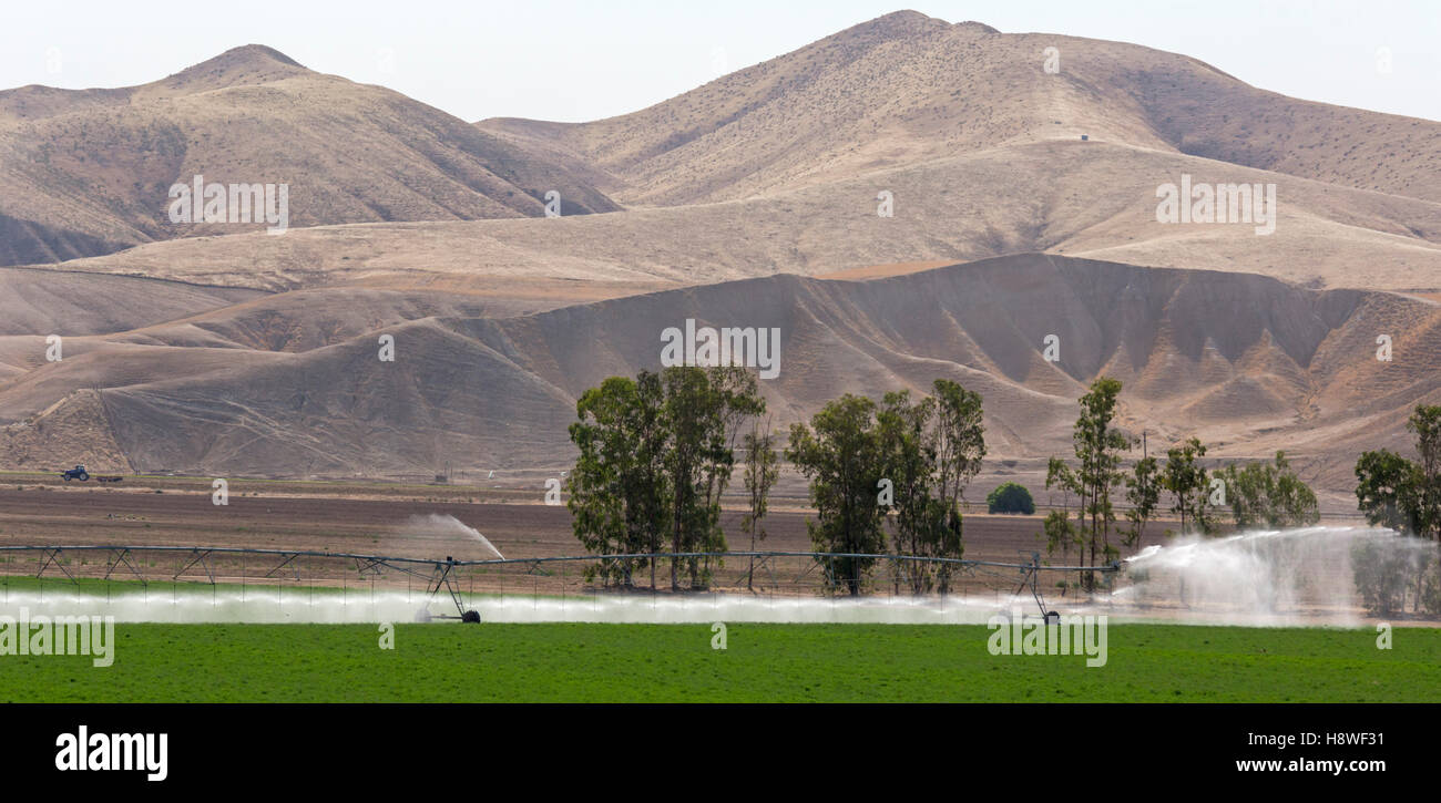 Bakersfield, Californie - l'irrigation sur une ferme dans la vallée de San Joaquin. Banque D'Images