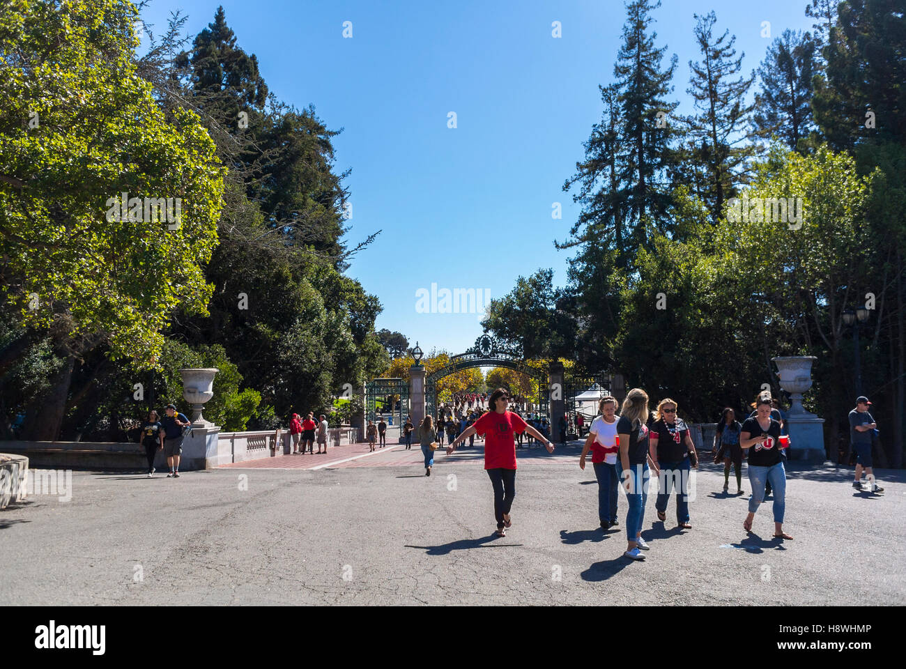 Berkeley, CA, USA, foule de gens, adolescents marchant dehors, Université de Californie, Berkeley, campus universitaire étudiant Talking College Banque D'Images