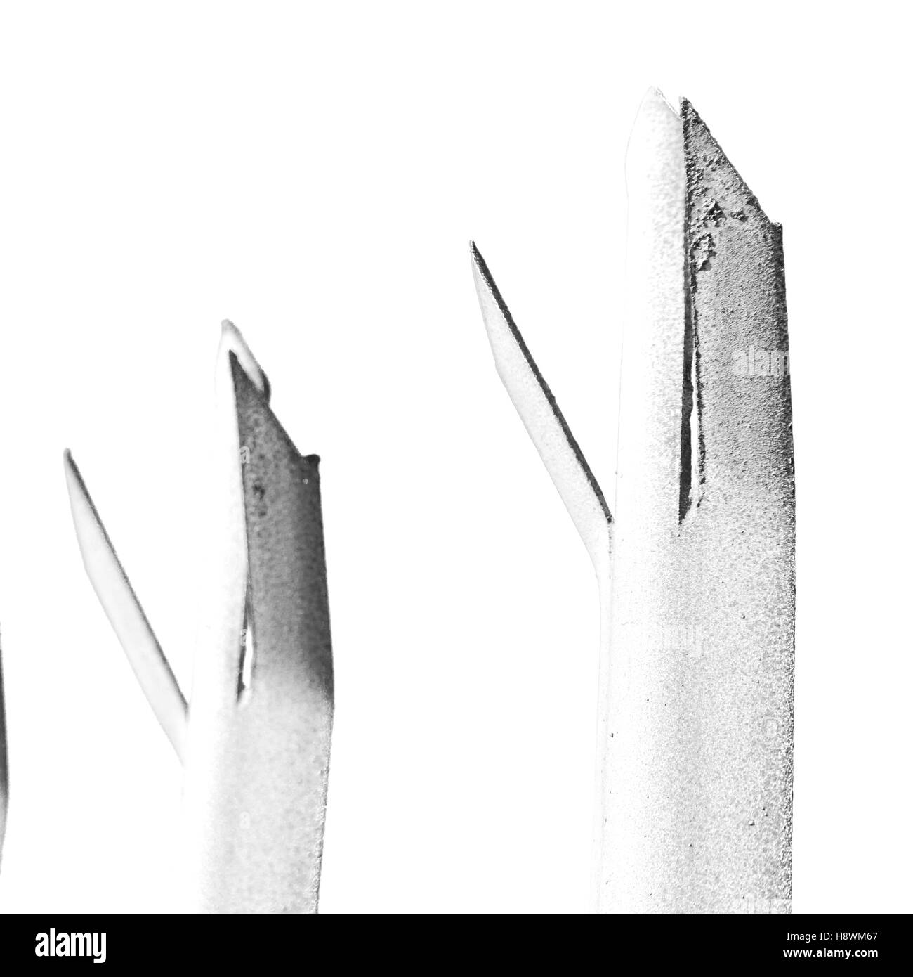 En Afrique du Sud près de la clôture métallique comme texture background Banque D'Images