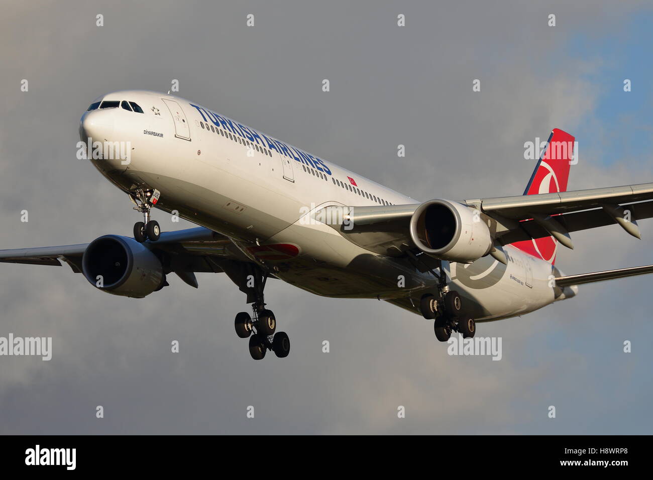 Turkish Airlines Airbus A330-300 TC-JOE à l'atterrissage à l'aéroport Heathrow de Londres, UK Banque D'Images