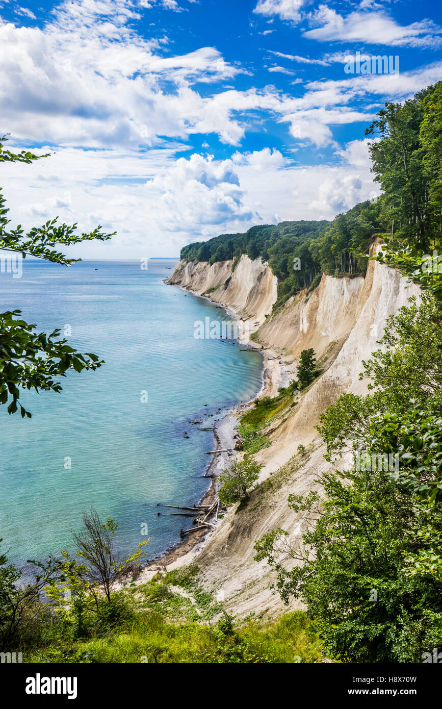 Falaise de craie à la côte du parc national de Jasmund, près de Königsstuhl (Président) du Roi, Rügen, Mecklembourg-Poméranie-Occidentale, Allemagne Banque D'Images