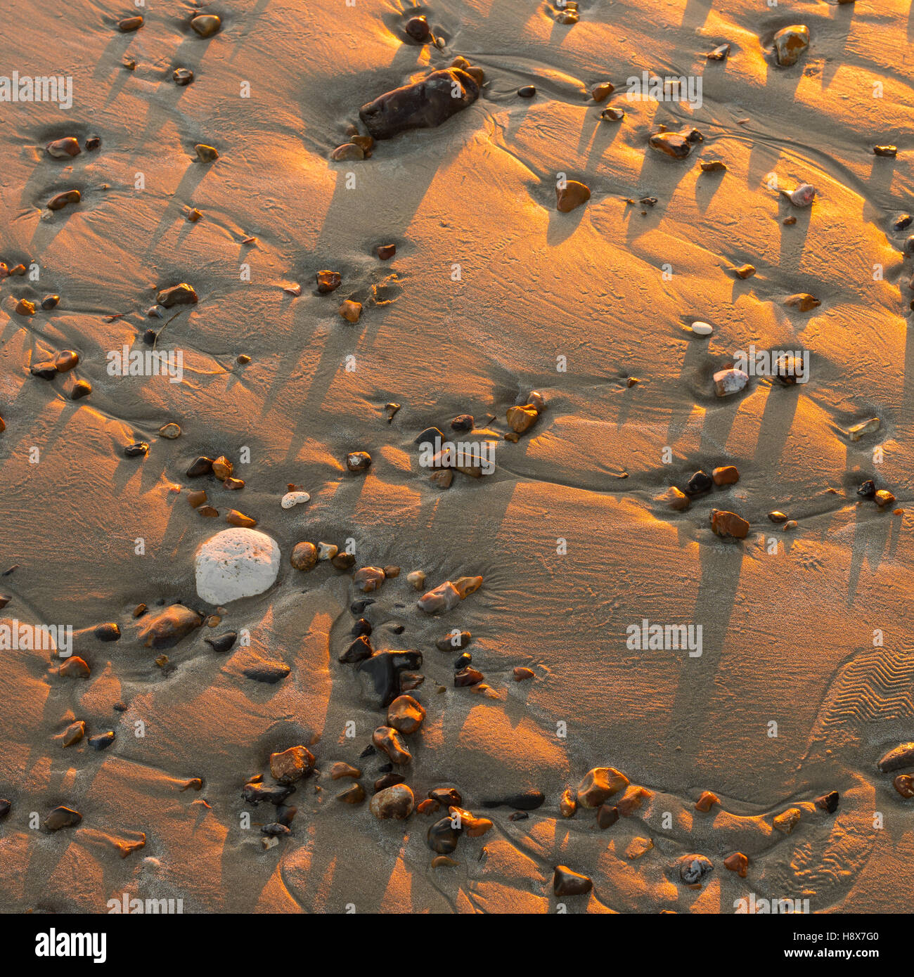 Pierre sur le sable Banque D'Images