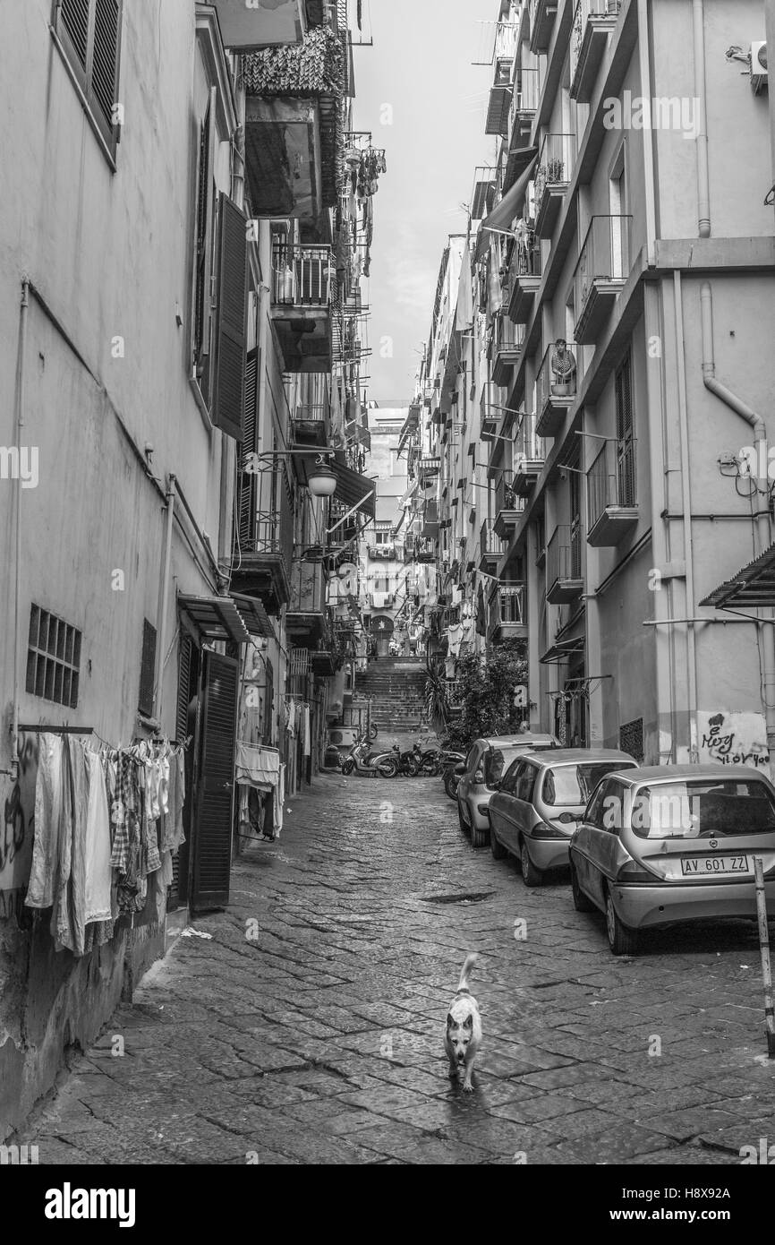 Rues de Naples, vieux quartier espagnol, Naples, Italie, Union européenne Banque D'Images