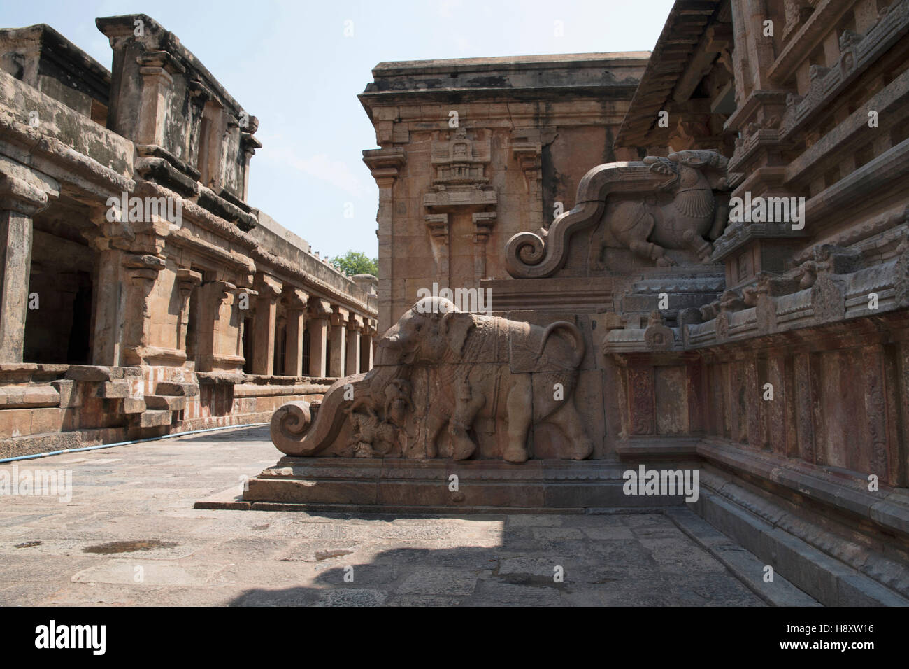 Balustrade de l'éléphant, Entrée Nord, Subrahmanyam culte, Temple de Brihadisvara, Tanjore, Tamil Nadu, Inde. Banque D'Images