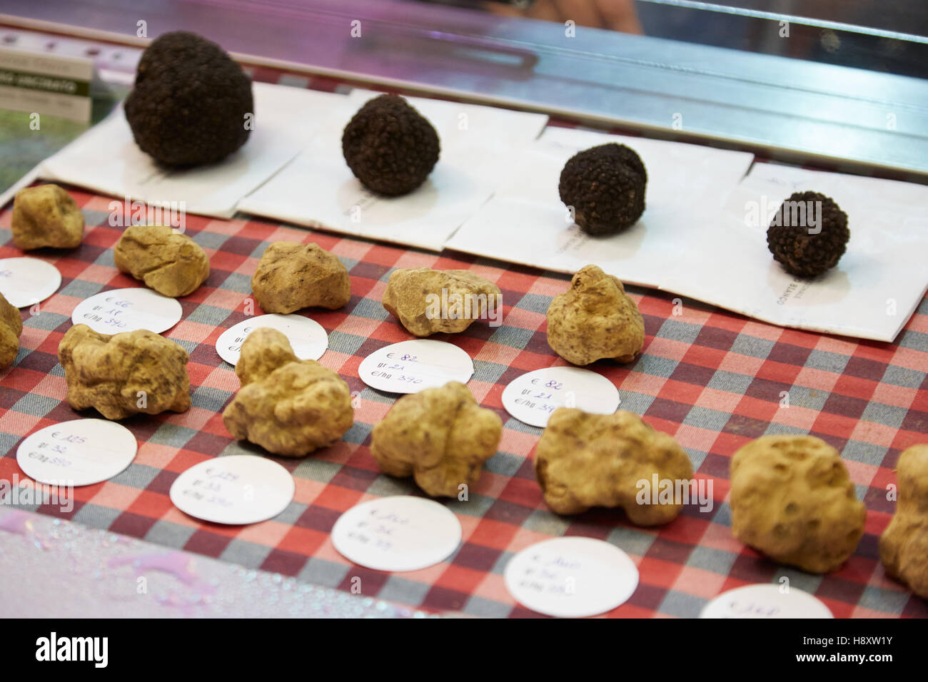 Truffes noires et blanches en vente au cours de la truffe blanche d'Alba en juste, Italie Banque D'Images
