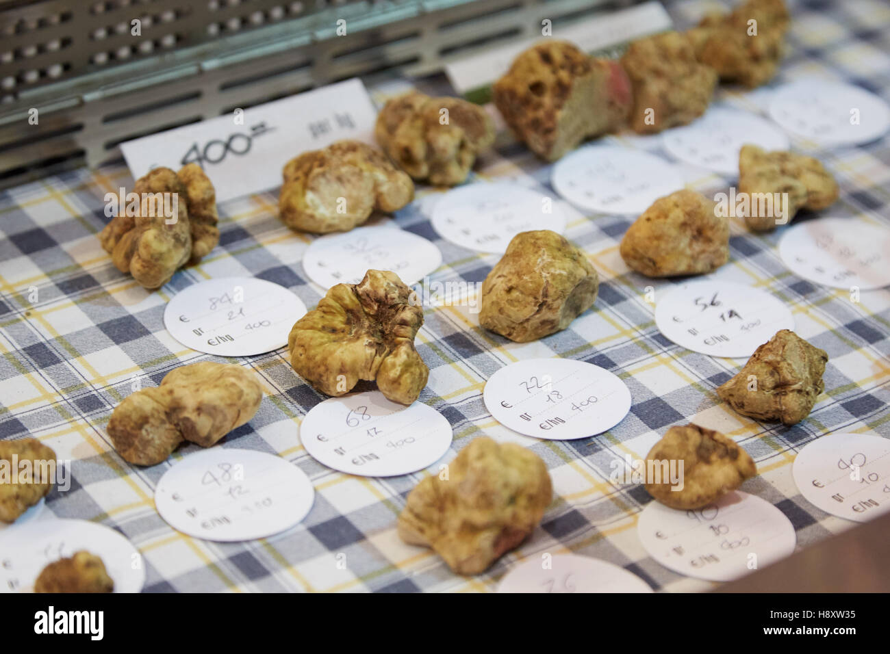 La truffe blanche en vente au cours de la truffe blanche d'Alba en juste, Italie Banque D'Images