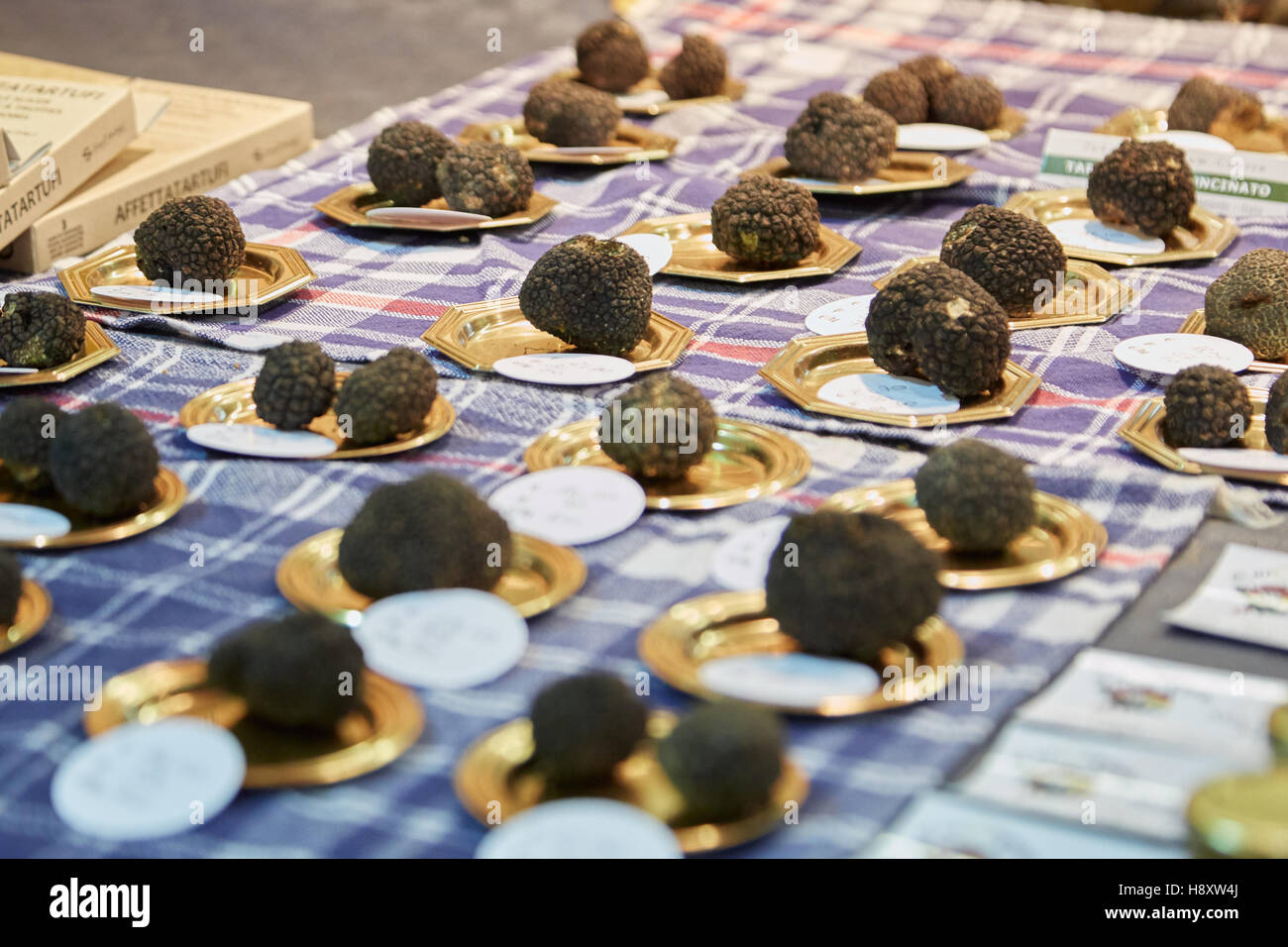 Truffe noire en vente au cours de la truffe blanche d'Alba en juste, Italie Banque D'Images