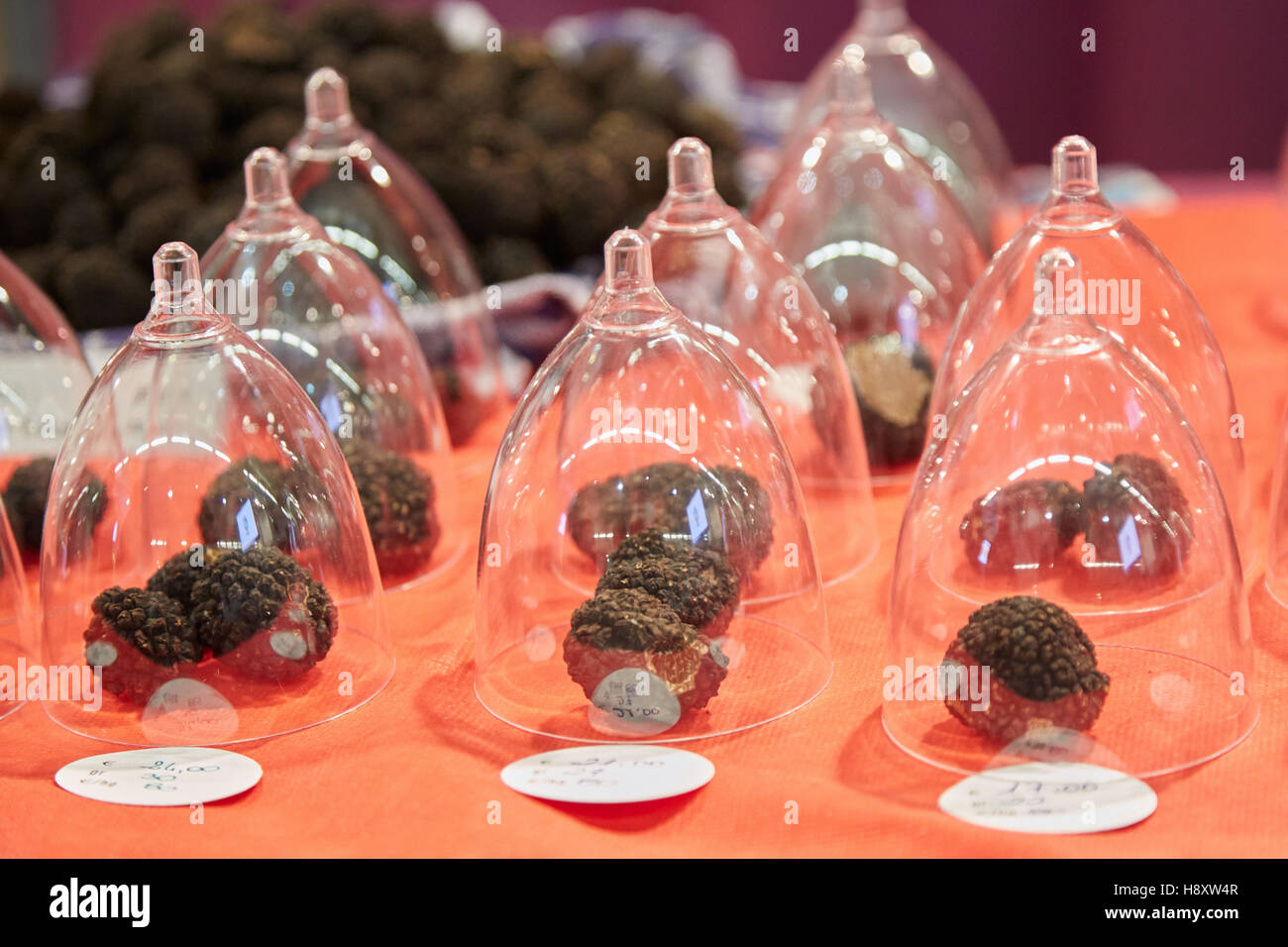 Truffes noires sous bell jar sur vente au cours de la truffe blanche d'Alba en juste, Italie Banque D'Images