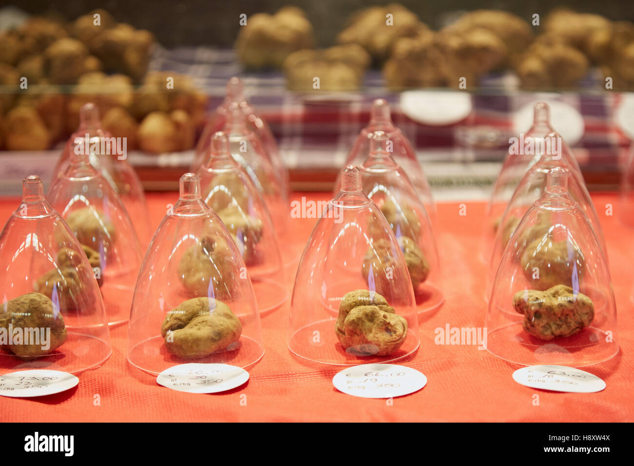 La truffe blanche sous cloche petit en vente au cours de la truffe blanche d'Alba en juste, Italie. Banque D'Images