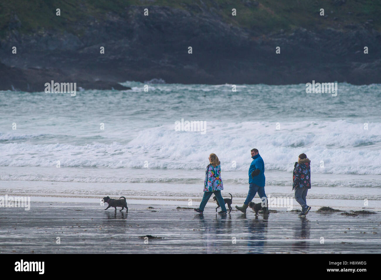 Une famille à pied leurs chiens sur la plage de Fistral, Newquay, Cornwall. Banque D'Images
