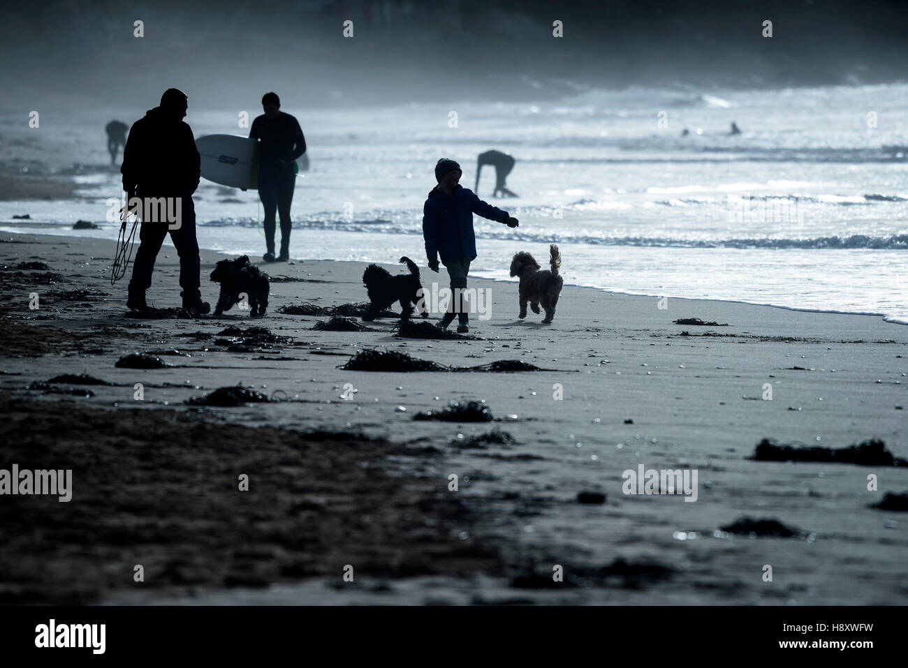 Les gens vu en silhouette sur la plage de Fistral, Newquay, Cornwall. Banque D'Images