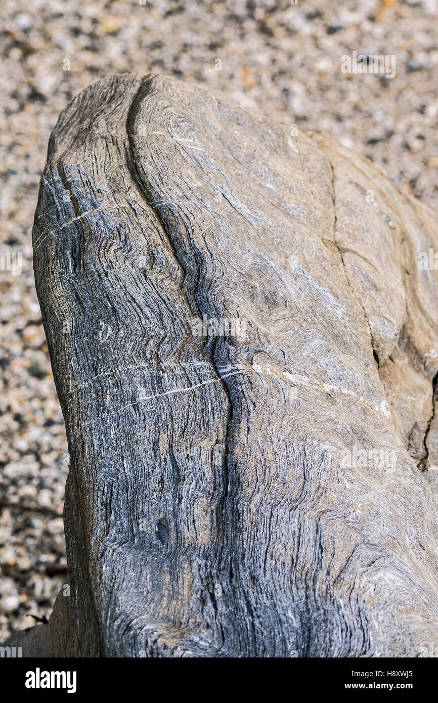 Résumé des modèles créés par l'action de la mer sur l'Ardoise du Dévonien rock. Banque D'Images