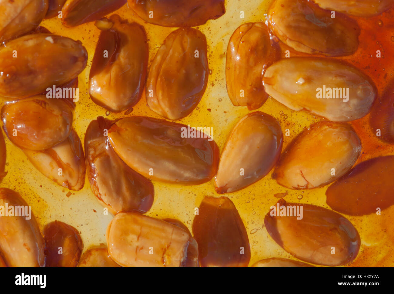 Nougat brun ou avec nougatine amandes rôti entier Banque D'Images